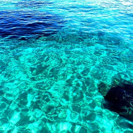 Zaffiro * Capo Vaticano